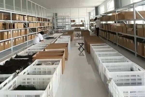 Warehouse