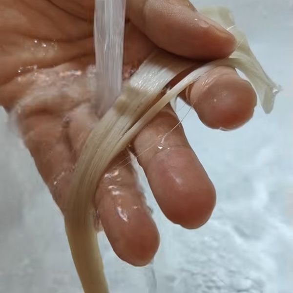 A microscope view showing the cuticle layer of a human hair strand